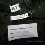 Madewell NEW  Pull-On Ruffle Tiered Mini‎ Skirt in Dot Daisies, XS Photo 11