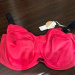 Elomi energise sports bra razorback pomegranate pink black 42E NWT Size undefined Photo 1
