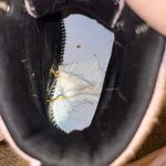 Dr. Martens Chalk Pink Dr Martin Combat Boots Photo 4