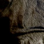 Forever 21  NWT Black Satin Cowl neck Crisscross black tie cutout Mini Dress M Photo 5