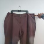 Premise Woman Brown Skinny Ankle Pants 24W Photo 3