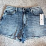Urban Outfitters BDG Girlfriend shorts Photo 0