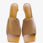 Vivaia Square Photo 4