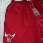 Mitchell & Ness NBA Team Chicago Bulls Champs Nylon Woven Mesh Shorts NWT 2X Photo 2