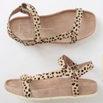 DV by Dolce Vit cheetah print leather sandals  Photo 0