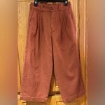 Madewell Double Front Pleated Wide-Leg Crop Pants in Burnt Sienna Size 2 Photo 7