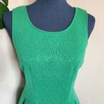 Blue Rain  Green Jacguard Fit and Flare Dress Photo 1