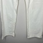 Tommy Hilfiger  Jeans‎ Photo 3