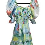 Charo Ruiz Giulia Short Dress Barbary Print Blue Multicolored Size Medium Photo 2
