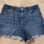 American Eagle  Jean Shorts Photo 0