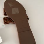 J.Crew  Sandals NWT Photo 4