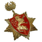 Vintage Heraldic Lion Crest Brooch Red Enamel Crown Starburst Coat of Arms Pin Photo 0