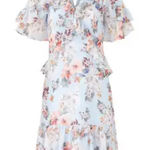 Anthropologie FINAL PRICE Shoshanna Floral Madrid Bridgerton Dress Photo 0