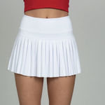 Gold Hinge  Skirt Photo 0