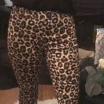 H&M Cheetah Stretch Slacks Photo 0