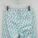Talbots Perfect Skimmer stretch aqua blue paisley print cropped casual pants 6 Photo 5