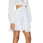 ALC Frank A.L.C. Irene cutout embroidered ramie mini dress, Size 2. $695 Photo 7