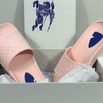 Burberry Dive Embossed Check Pool Slide Sandals Pink Gloss 40 10 NEW Photo 1