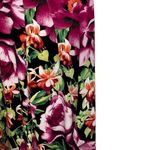 G.I.L.I. Black Floral Wide Leg Pull On Knit Cape Pants NWOT Size‎ XS Pink Photo 5