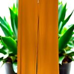 Derek Heart 𝒟ℯ𝓇ℯ𝓀 ℋℯ𝒶𝓉 ♥︎ Elegant Orange Wide-Leg Pants zipper front Photo 5