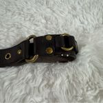 Loft Ann Taylor Classic Brown Leather Belt Size XS Photo 6