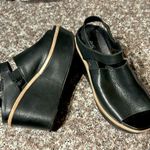 Antelope  Wedges Photo 0