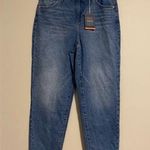 Jag jeans NWT  Soho Blue High Rise Straight Leg Luna Mom Jeans size 14/32 Photo 0