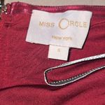 Miss Circle Velvet Dress Photo 5