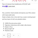 Goldie NWOT  Dirndl Skirt Sz L Photo 5