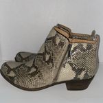 Lucky Brand  leather snake skin ankle boots size 11 Photo 4