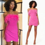 Elliatt NWT Paulina Pink Mini Dress Size Medium Feather Trim Photo 10