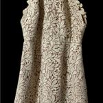 Stylestalker  Blush and Cream Lace Dress Photo 1
