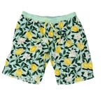 CAROLE HOCHMAN Lemons Matching Set Cotton Short Sleeves Top and Short Pants SZ L Green Size L Photo 3