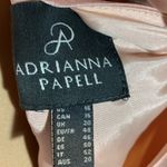 Adrianna Papell Adriana Papell Dusty Rose Gown with Rhinestone and Beaded Neckline Size 16 Photo 6