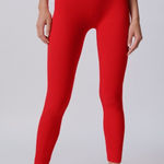 ZARA NWT SEAMLESS HIGH WAISTED RIBBED LEGGINGS FESTIVE HOLIDAY XS-S Photo 0