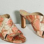 Johnston & Murphy Carrie Black Leather Slide Sandals Mule Heels Size 7.5 Photo 2