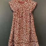 &merci &merci brown and white leopard ruffle shortsleeve mini swing sheath dress S Photo 0