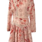 ALLSAINTS Victorian Aislyn Salvation Broderie Dress Size 8 Printed Floral Bird Photo 5