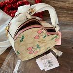 Coach  Heart Crossbody In Signature Canvas With Heart Cherry Print NEW Photo 10