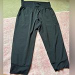 Fabletics  Black Jogger Pants Photo 0