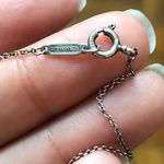 Tiffany & Co. Sterling Silver Necklace Chain Photo 2