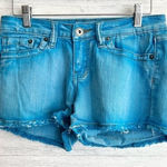Vintage Havana  Blue Shorts Photo 0