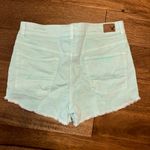 American Eagle Outfitters Mint Green Shorts Photo 1