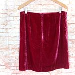 Anthropologie  | Raspberry Montie Velvet Mini Skirt Photo 5