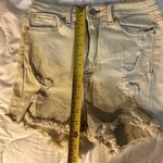 Simple Society Size 7 Hi Rise Shorts Photo 3