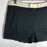 Alice Moon High Waisted Black Lace Shorts Size Large Photo 3