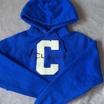 Champion Hoodie Photo 0