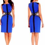 Ivanka Trump  Blue and Black Sleeveless With Back Walking Split Dress Photo 3