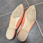 Vivaia Iris Pointed Photo 7