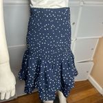 BB Dakota  Connect the Dots Smocked Polka Dot Skirt Size Large Photo 10